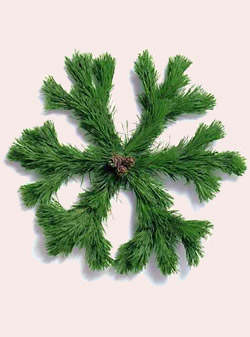 snowflake-wreath.jpg