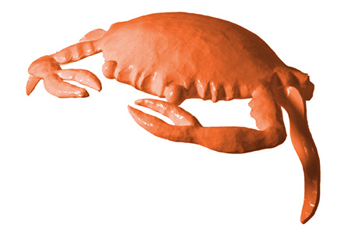 crab-pumpkin-blush-M